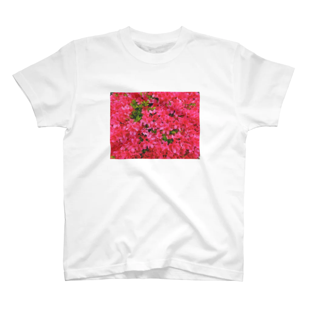 筋子オニギリのツツジのお花シリーズ Regular Fit T-Shirt