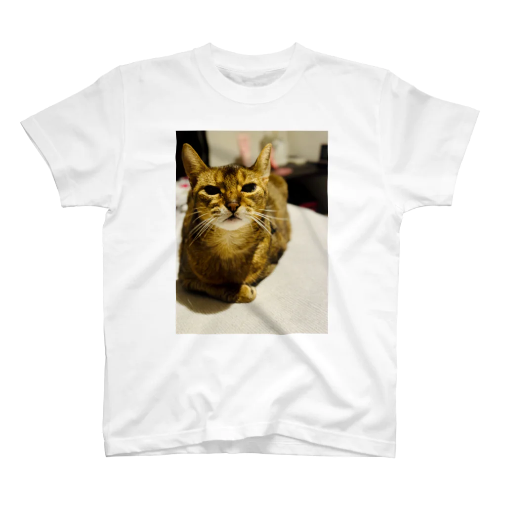 ゆるやかな、ねこのゆるやかな、ねこ(かわいい) スタンダードTシャツ