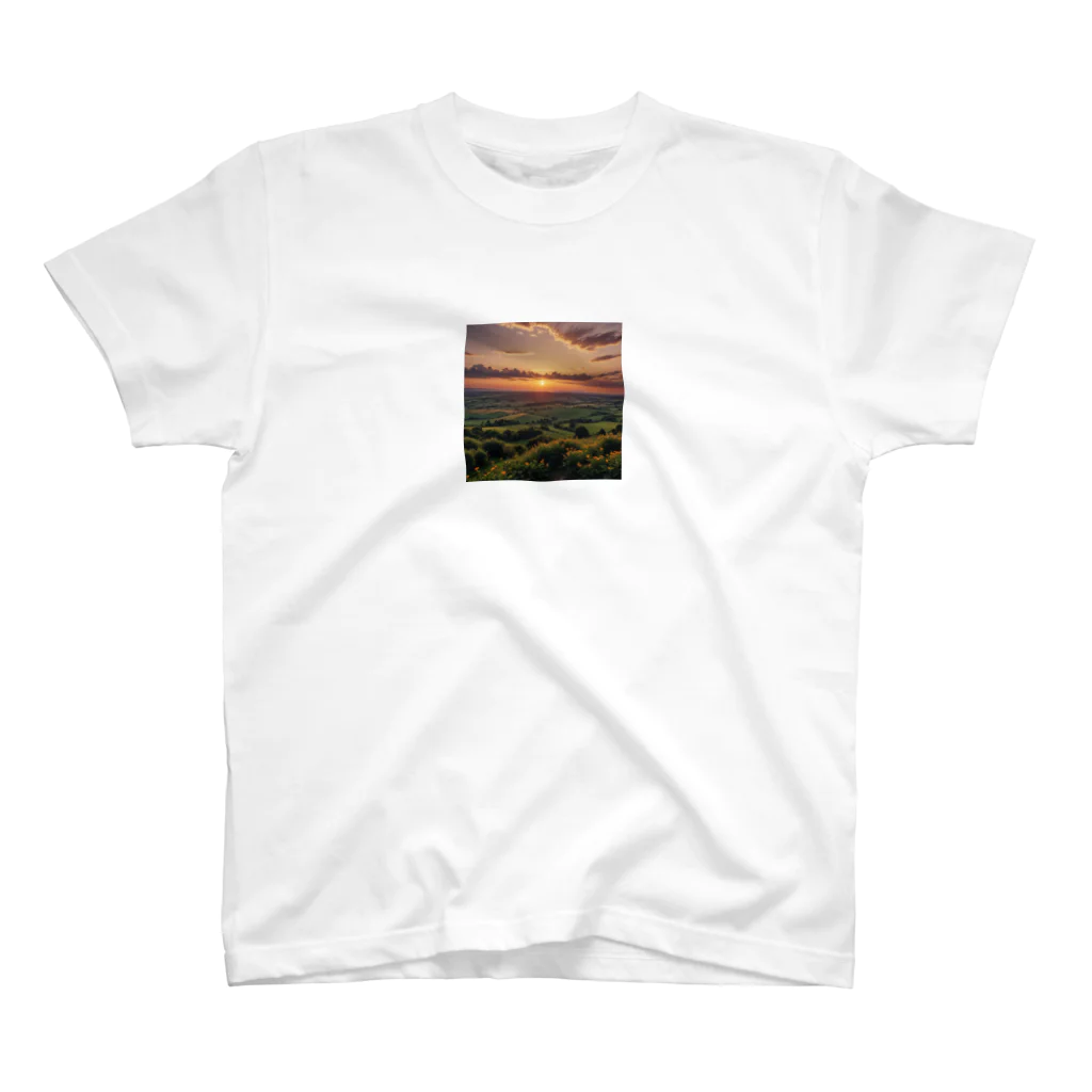 wassanwの日没の風景 Regular Fit T-Shirt