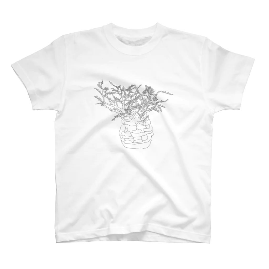 PHYTOGIFTのオペルクリカリア パキプス / 塊根植物 スタンダードTシャツ