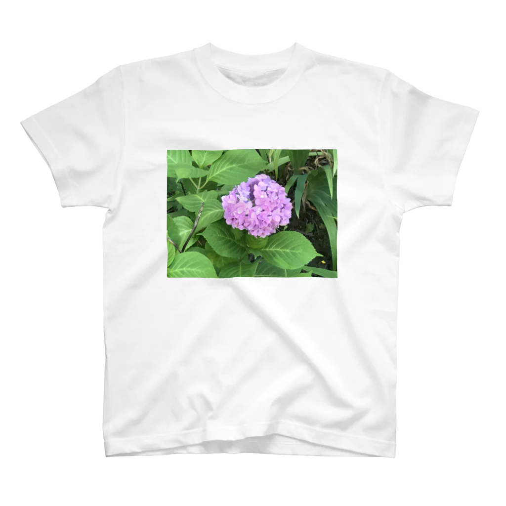 made32kurimuの健気に咲き乱れる紫陽花 スタンダードTシャツ