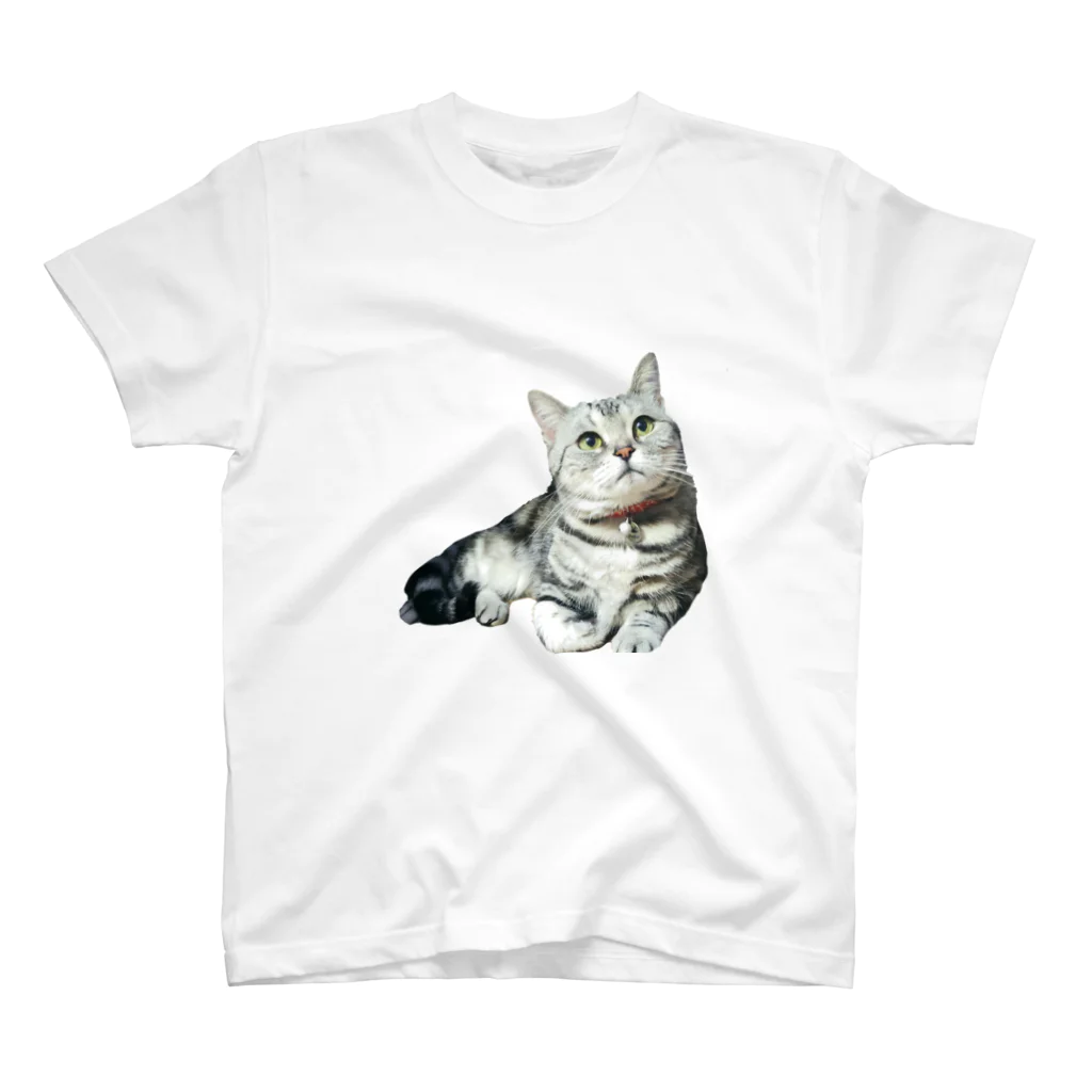 ありすの猫Tシャツ Regular Fit T-Shirt