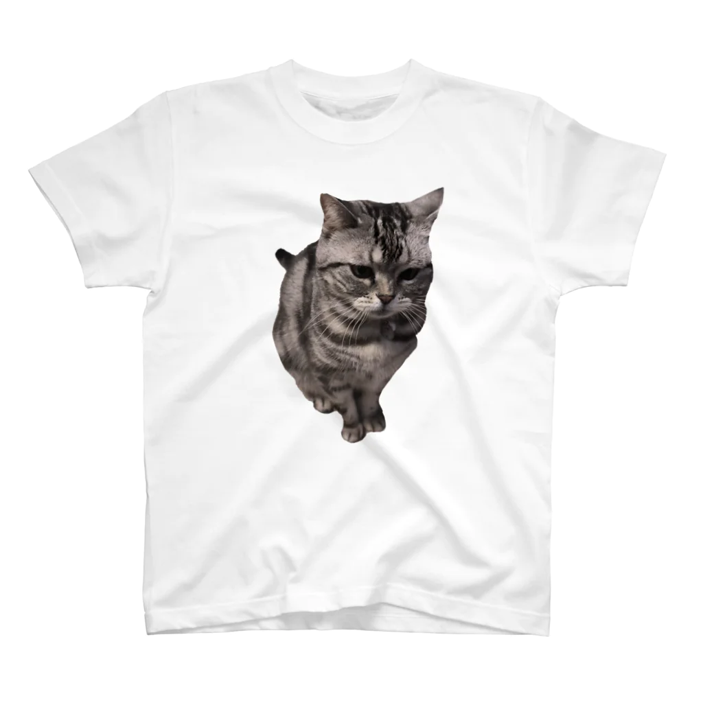 ありすの猫Tシャツ Regular Fit T-Shirt