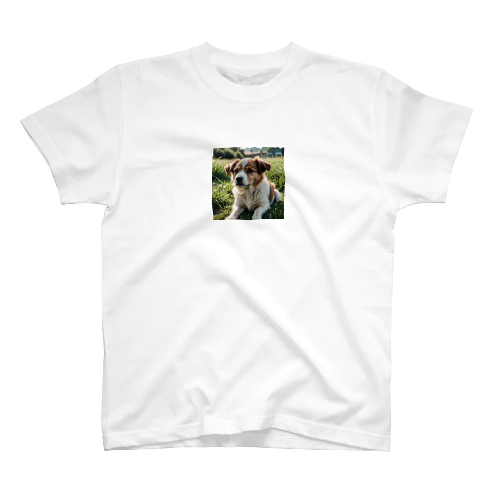 kokin0の草むらで斜めを見つめる犬 dog looking for the anywhere スタンダードTシャツ