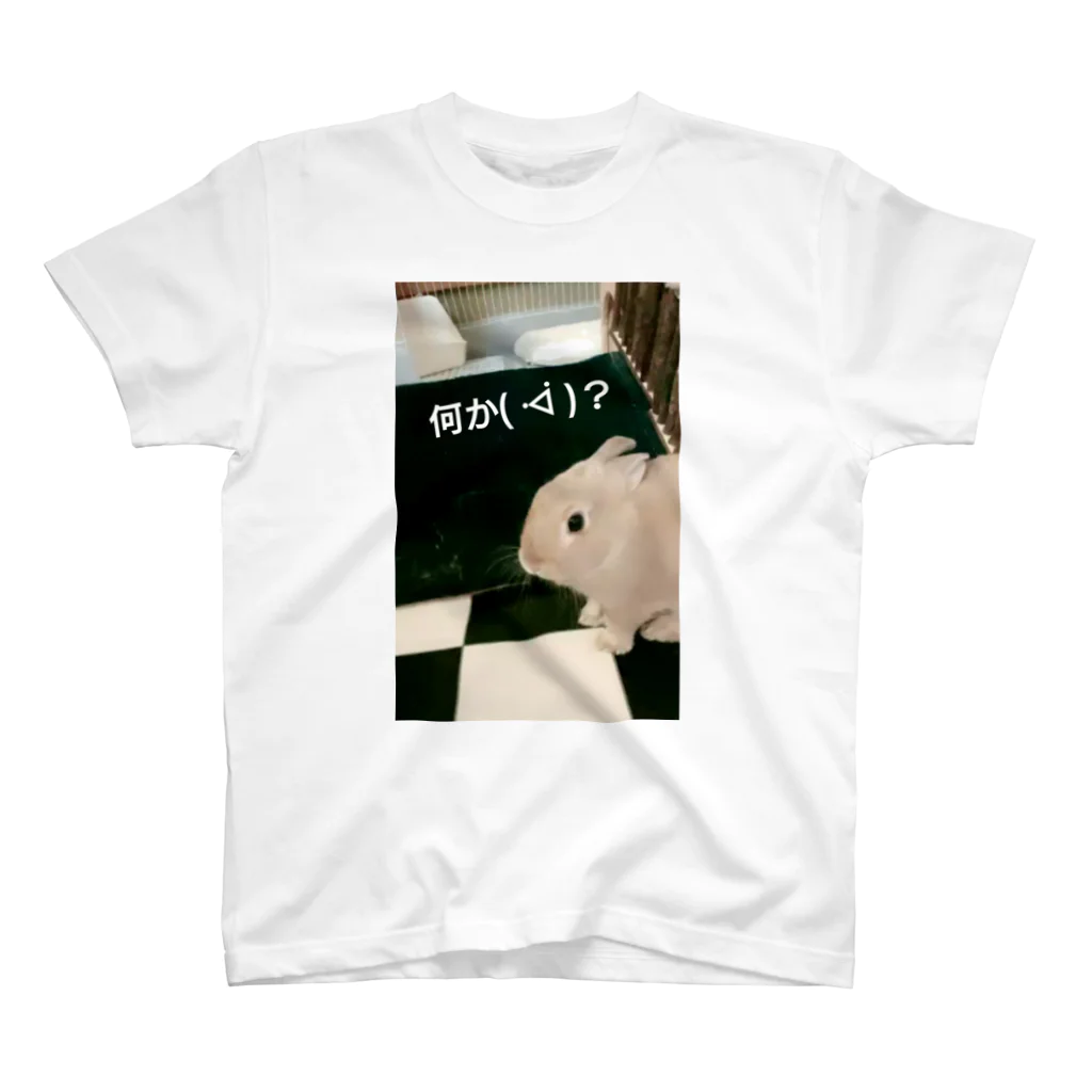 Hide0210のうさぎさん 何か( ᐙ )？ スタンダードTシャツ