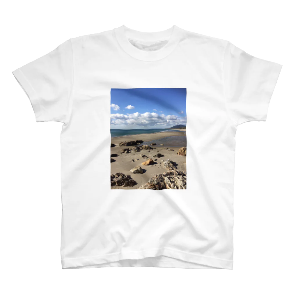 G-EICHIS_Groupの夏の海岸 スタンダードTシャツ