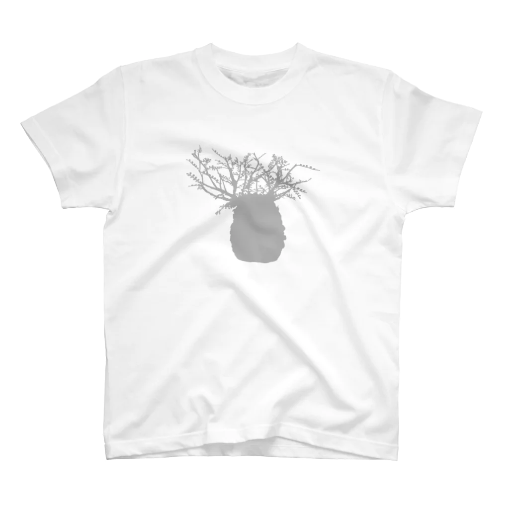 PHYTOGIFTのオペルクリカリア パキプス / 塊根植物 Regular Fit T-Shirt