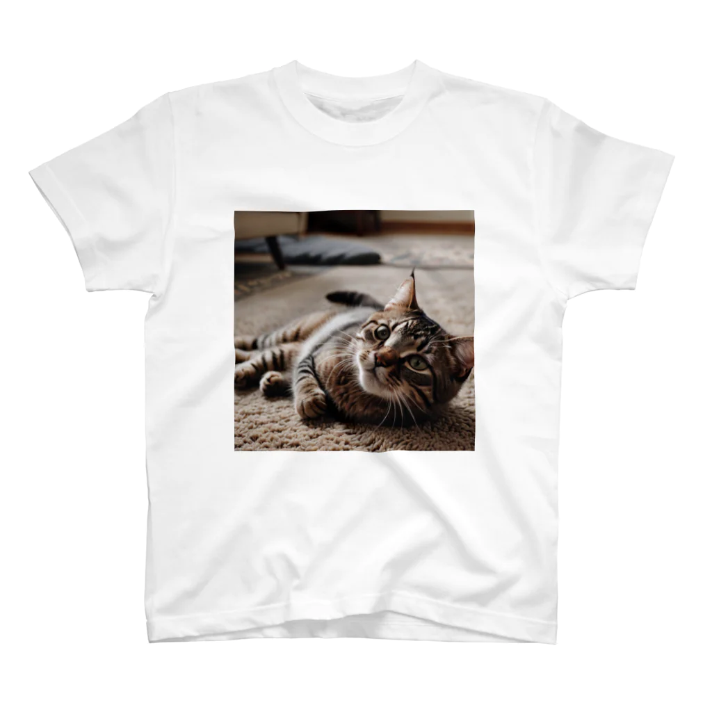 zigerparkの寝転ぶ猫 スタンダードTシャツ