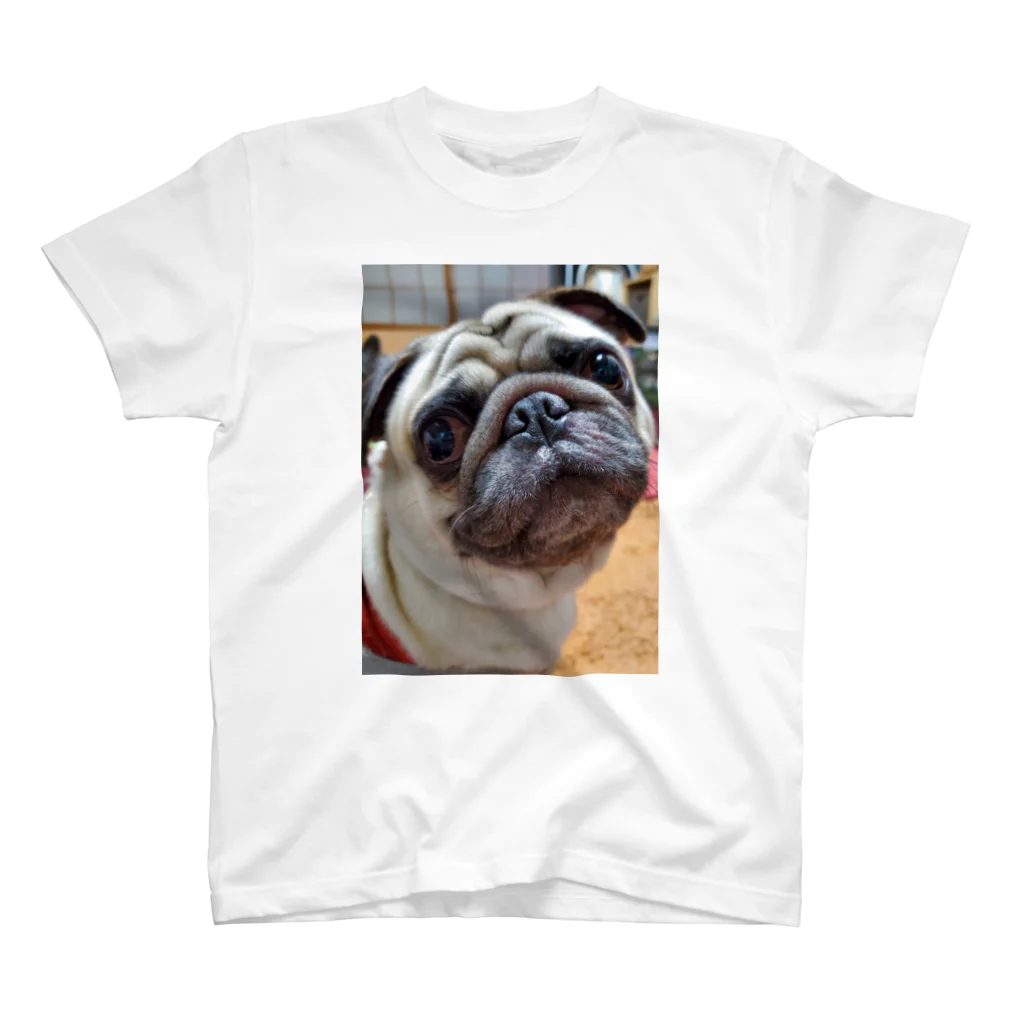 PaguparkのPugのぱぐお Regular Fit T-Shirt