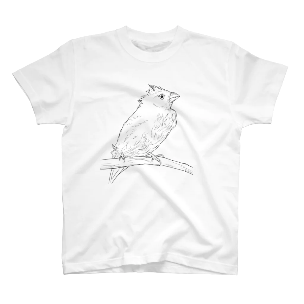 Lily bird（リリーバード）の水浴び文鳥 スタンダードTシャツ