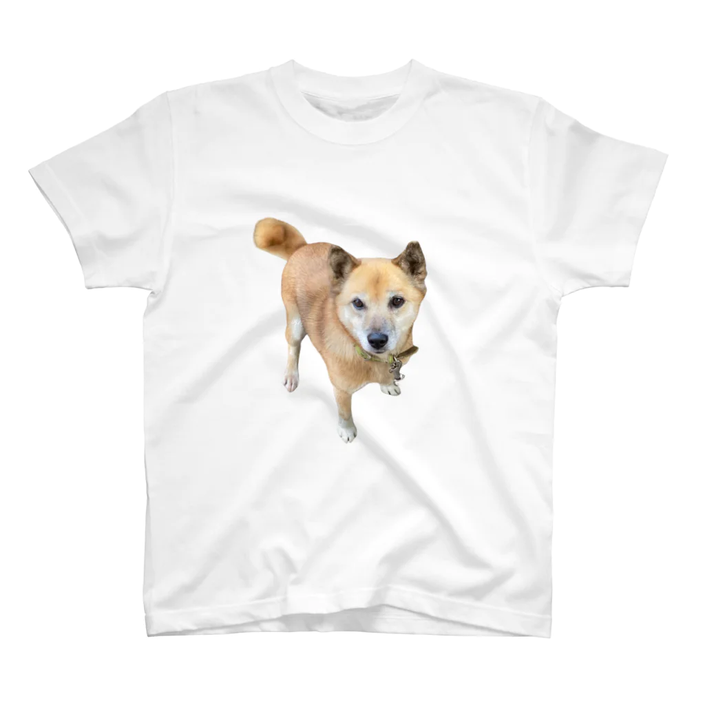 KUSANAGI-YUSAKUのお座りする柴犬チビちゃん スタンダードTシャツ