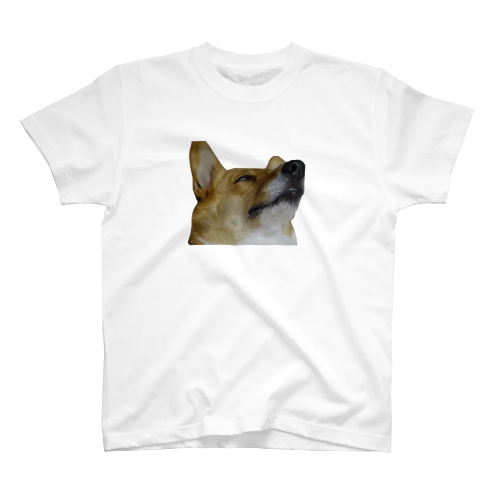 umino ASMRの犬の寝顔 スタンダードTシャツ