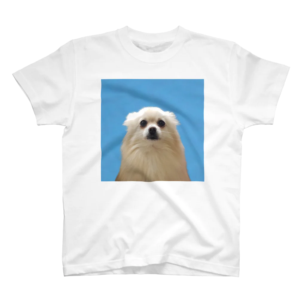 うるマートの証明写真風のうる Regular Fit T-Shirt