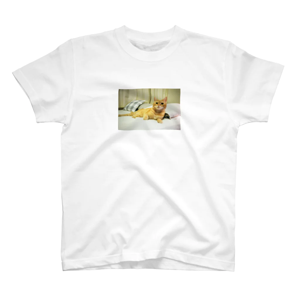 qqq shopのkimi ha kawaii Regular Fit T-Shirt