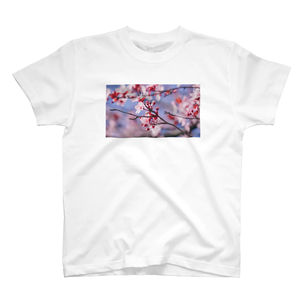 𝔗𝔞𝔦𝔰𝔢𝔦 𝔜𝔞𝔪𝔞𝔡𝔞のSakura en France. スタンダードTシャツ