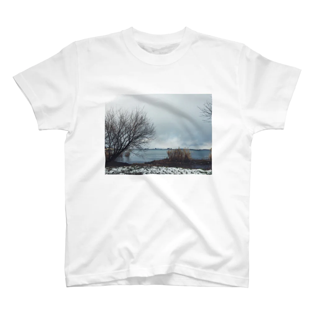 yosuke_kamの冬景色（びわ湖） スタンダードTシャツ