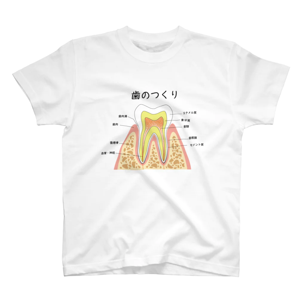 miu8080の歯のつくり スタンダードTシャツ