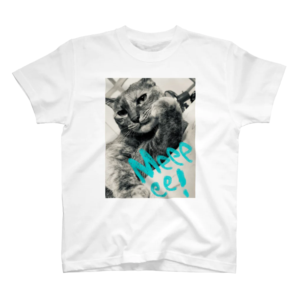 みー民芸品店のみー3 Regular Fit T-Shirt