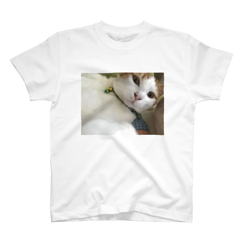 UNI-CATsのうにちゃん２ Regular Fit T-Shirt