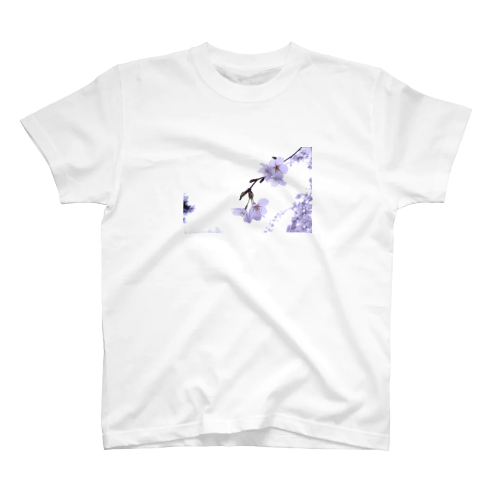 rin5の桜 スタンダードTシャツ