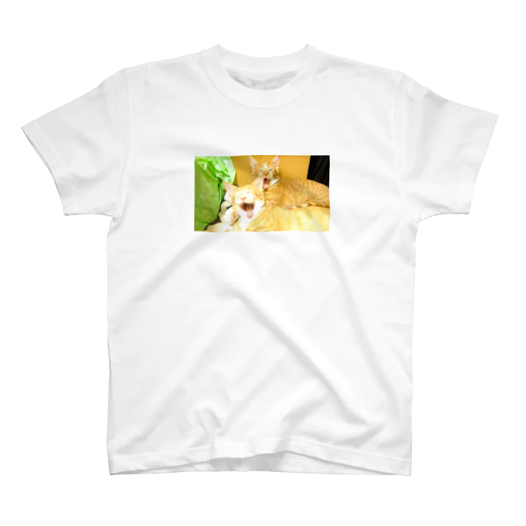 Irresponsible worldの猫2 スタンダードTシャツ