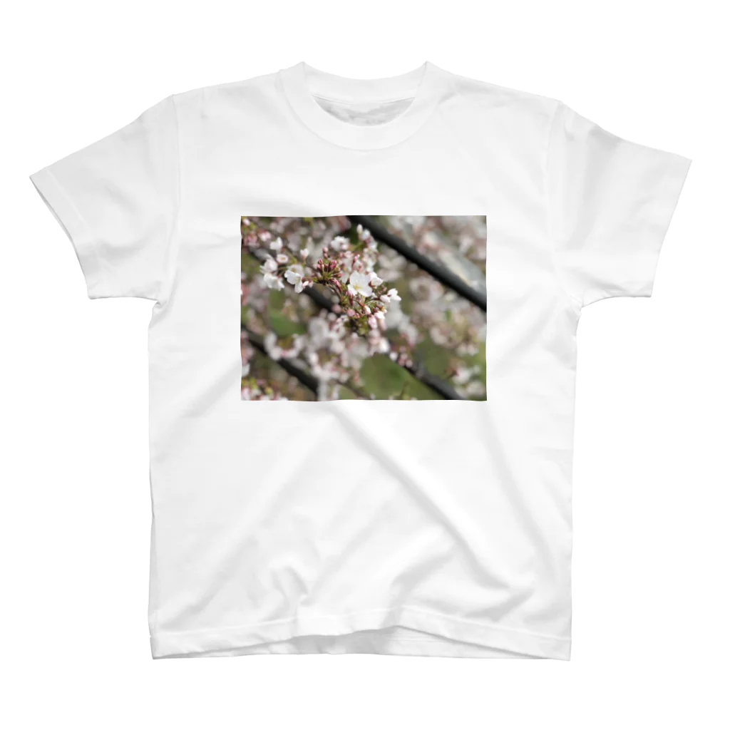 お花畑の春の桜 티셔츠