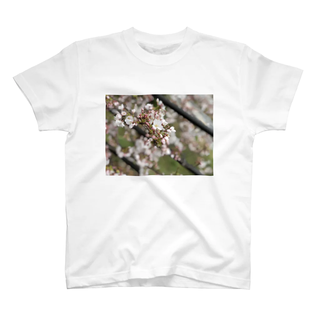 お花畑の春の桜 Regular Fit T-Shirt