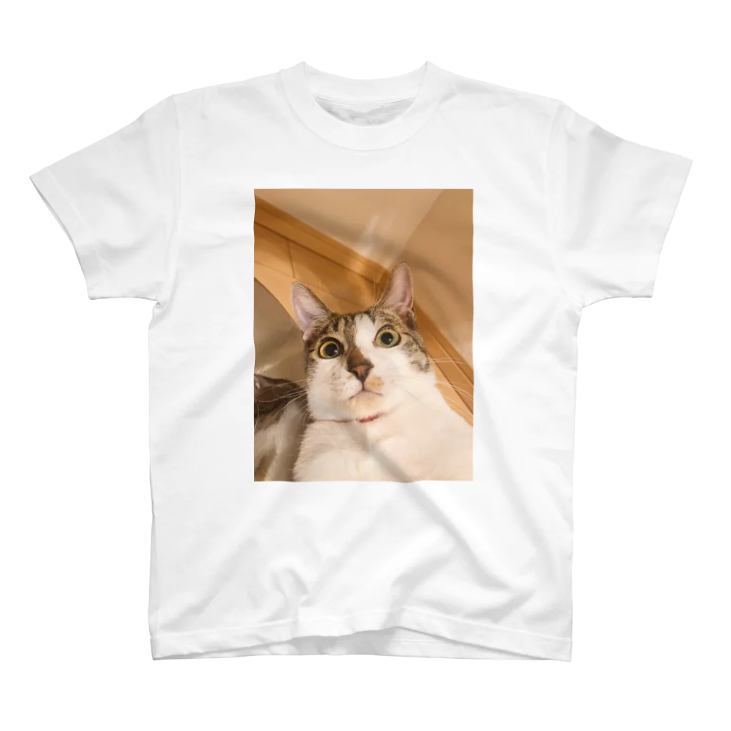 carlosのOMG my Cat Regular Fit T-Shirt