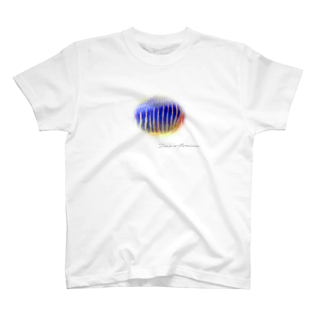 Serendipity -Scenery In One's Mind's Eye-のDanio erythromicron Regular Fit T-Shirt