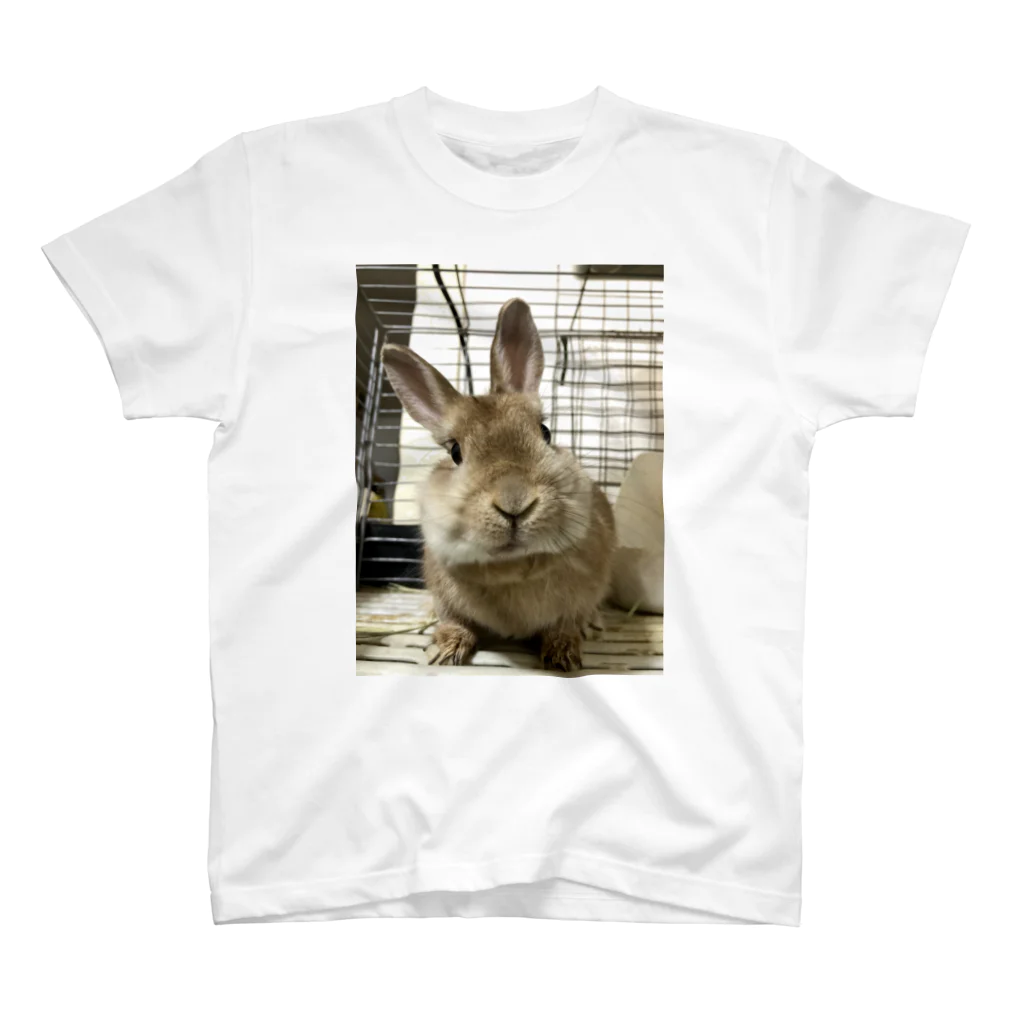 『成』ちゃんのうちのお子🐰 Regular Fit T-Shirt