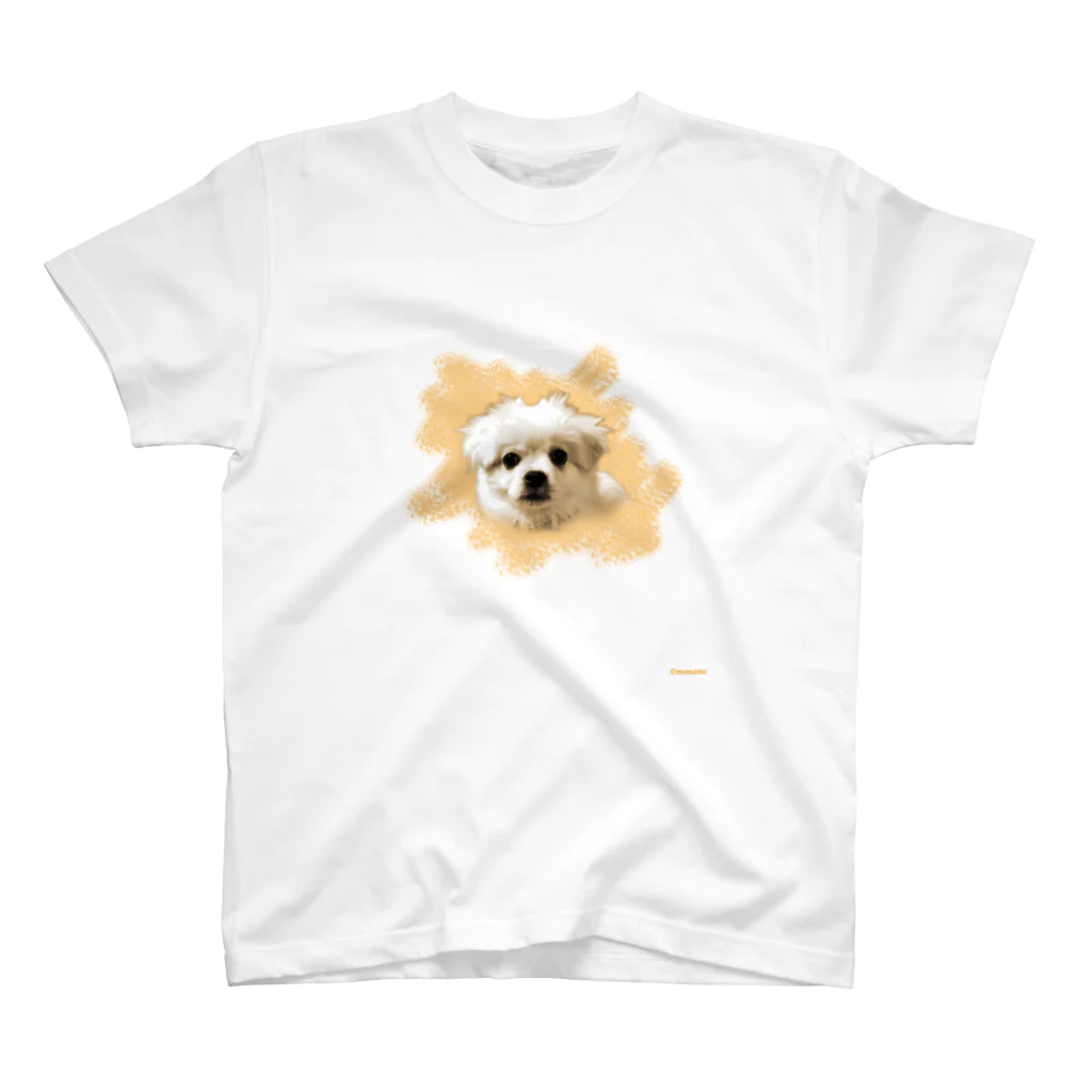 pocketsのLEO フェイス スタンダードTシャツ