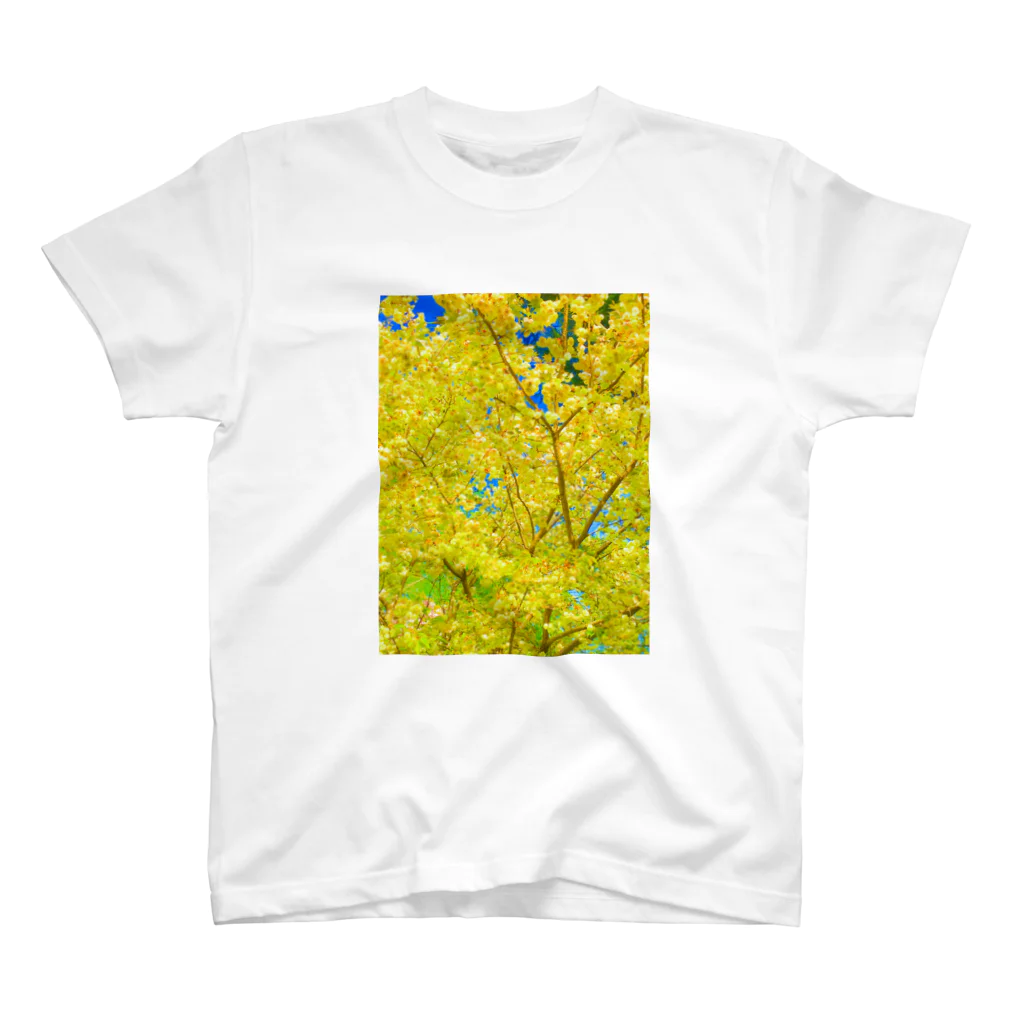 33GaMaのgreen-gold-flower Regular Fit T-Shirt
