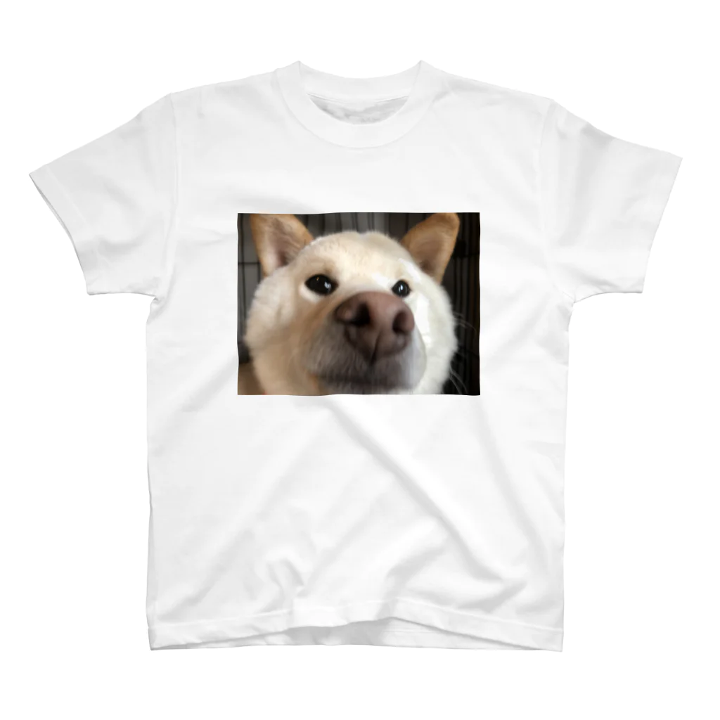 チームらんまるくん🐶の鼻でからんまるくん Regular Fit T-Shirt