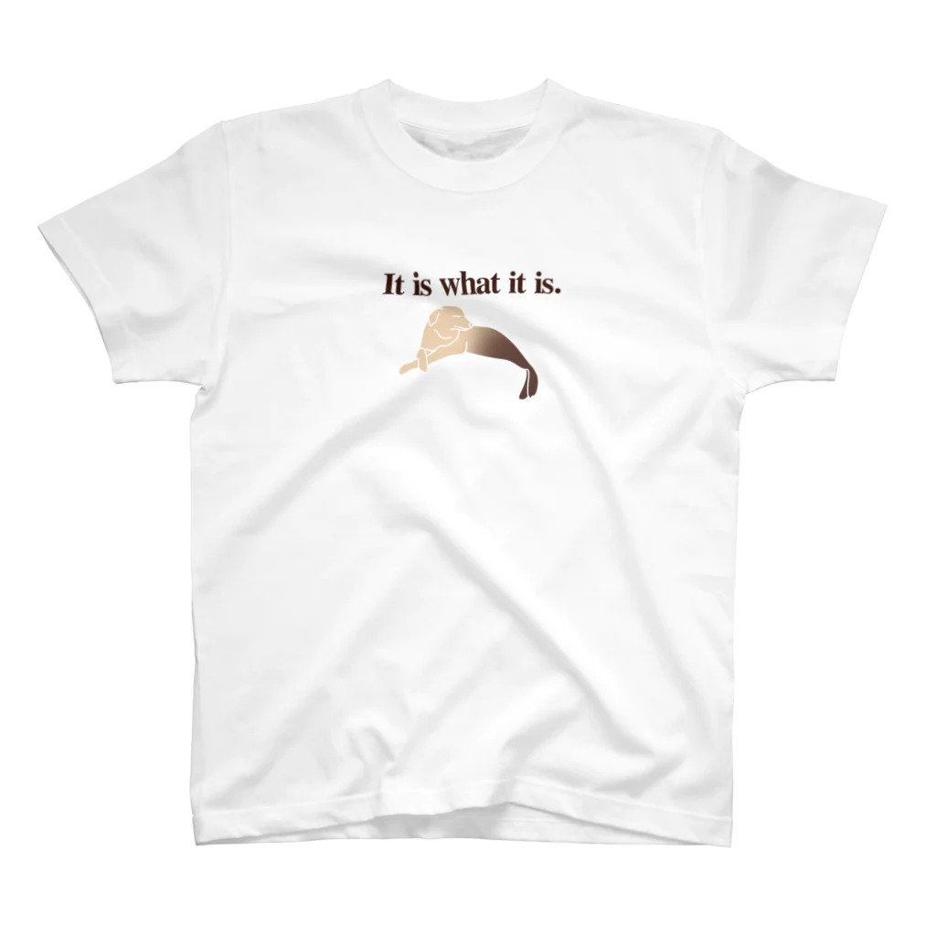 It is what it is.の半アザラシ犬 スタンダードTシャツ