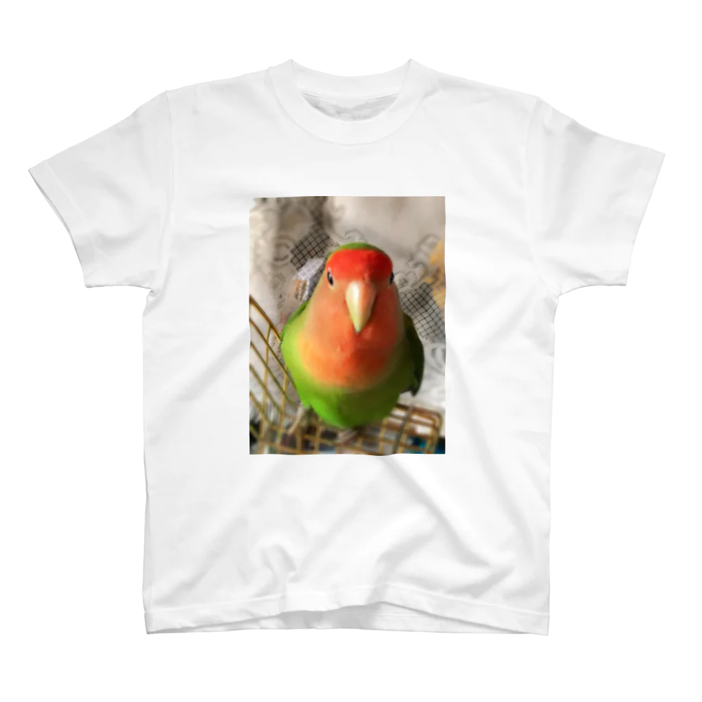 JADEのインコ界の用心棒、ジェイド之介 スタンダードTシャツ