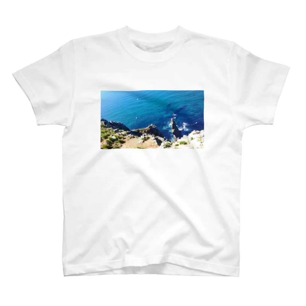 淡海のteuru Regular Fit T-Shirt