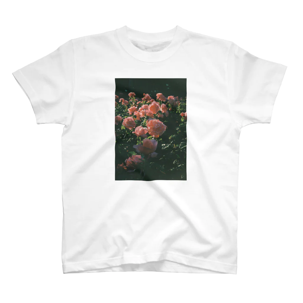 TRAVEL PHOTO PRODUCTSのLondon Rose スタンダードTシャツ