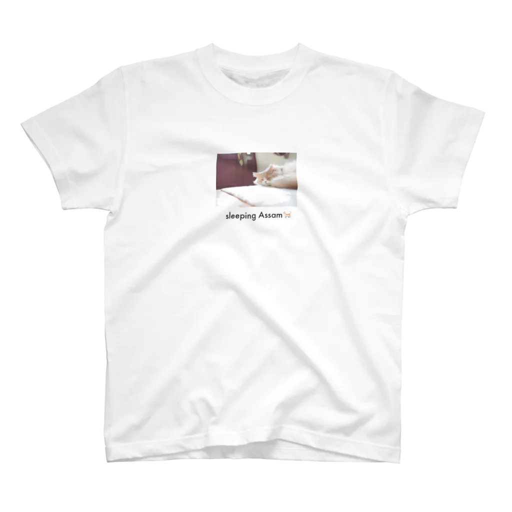 mintyのsleeping Assam🐈 スタンダードTシャツ