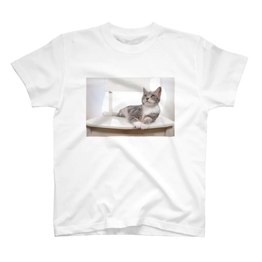 Aiko Nakanoのcat_20190506_8165 スタンダードTシャツ