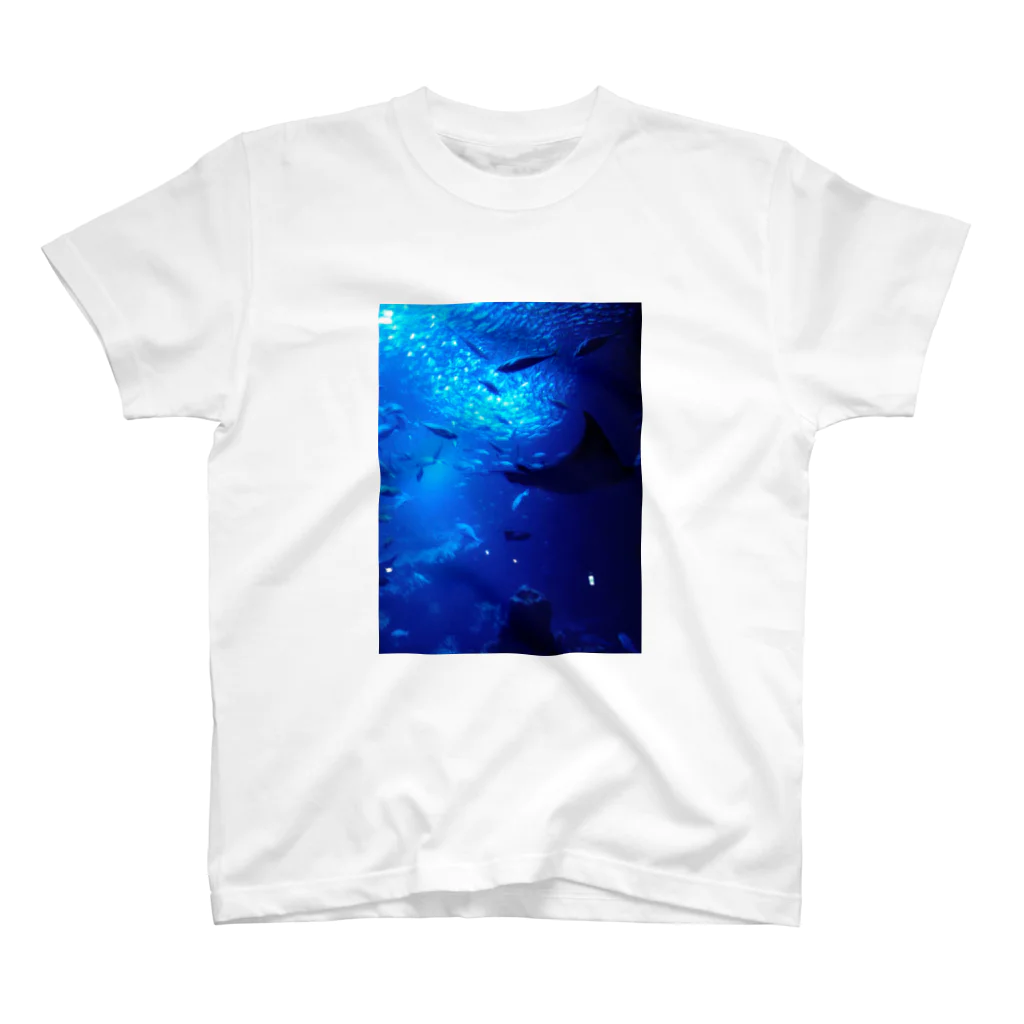 Tricolor-Catの深海の示現。 スタンダードTシャツ