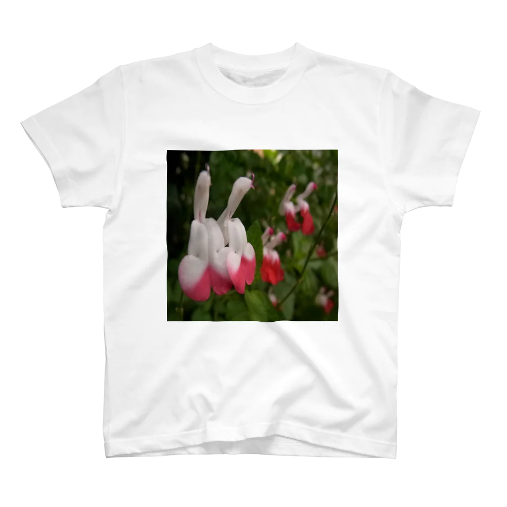 アズペイントの花風景 スタンダードTシャツ