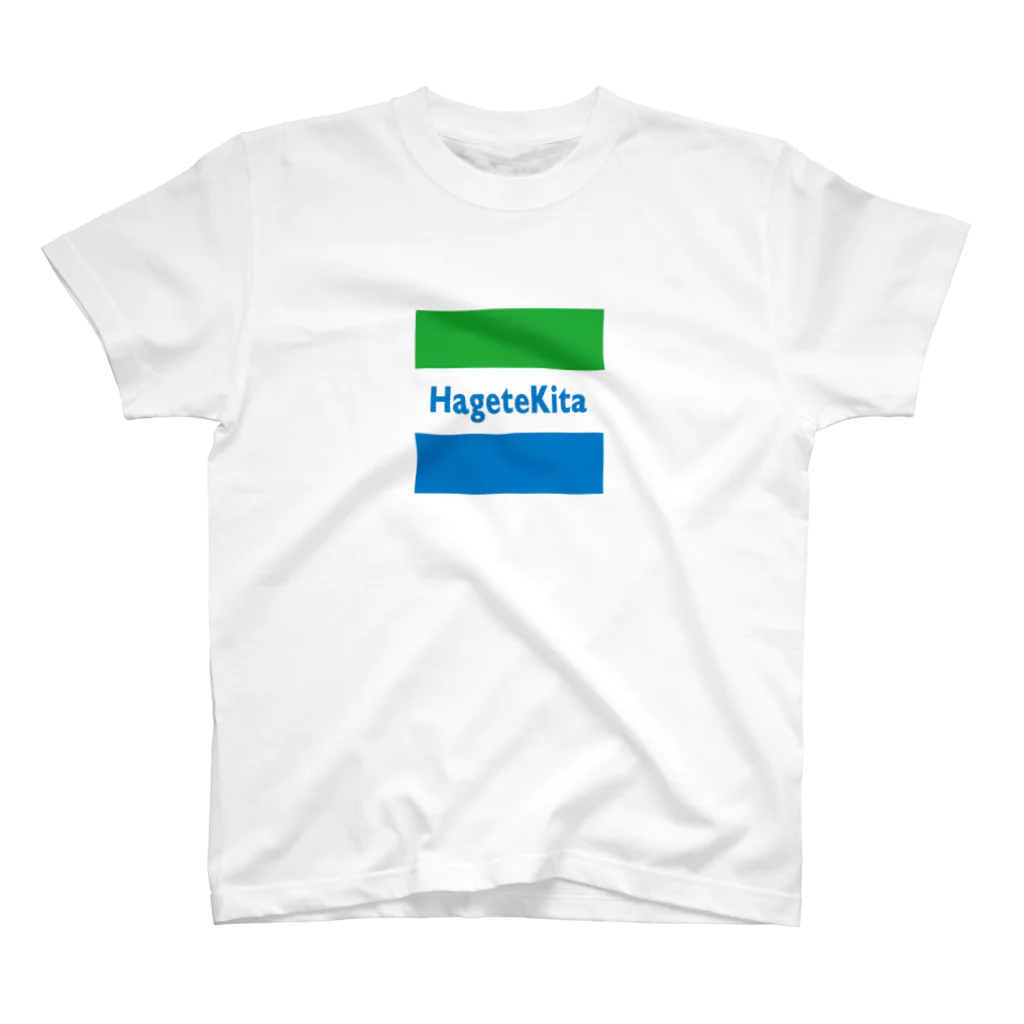 RyooooOOOOのhagetekita スタンダードTシャツ