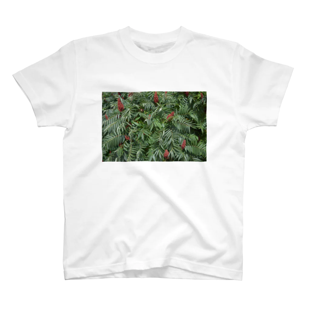 とみたの植物 スタンダードTシャツ