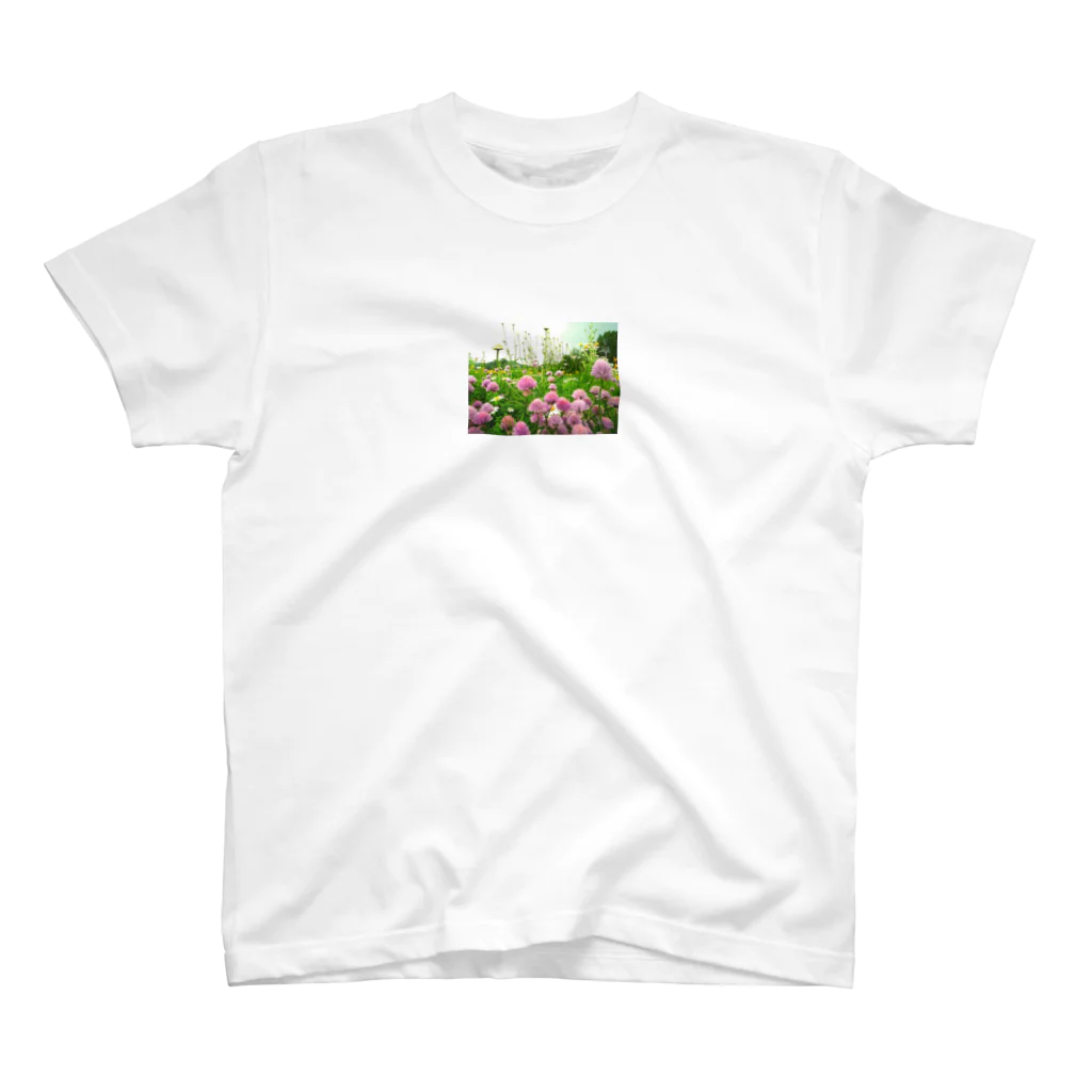 turquoiseBのWild flower スタンダードTシャツ