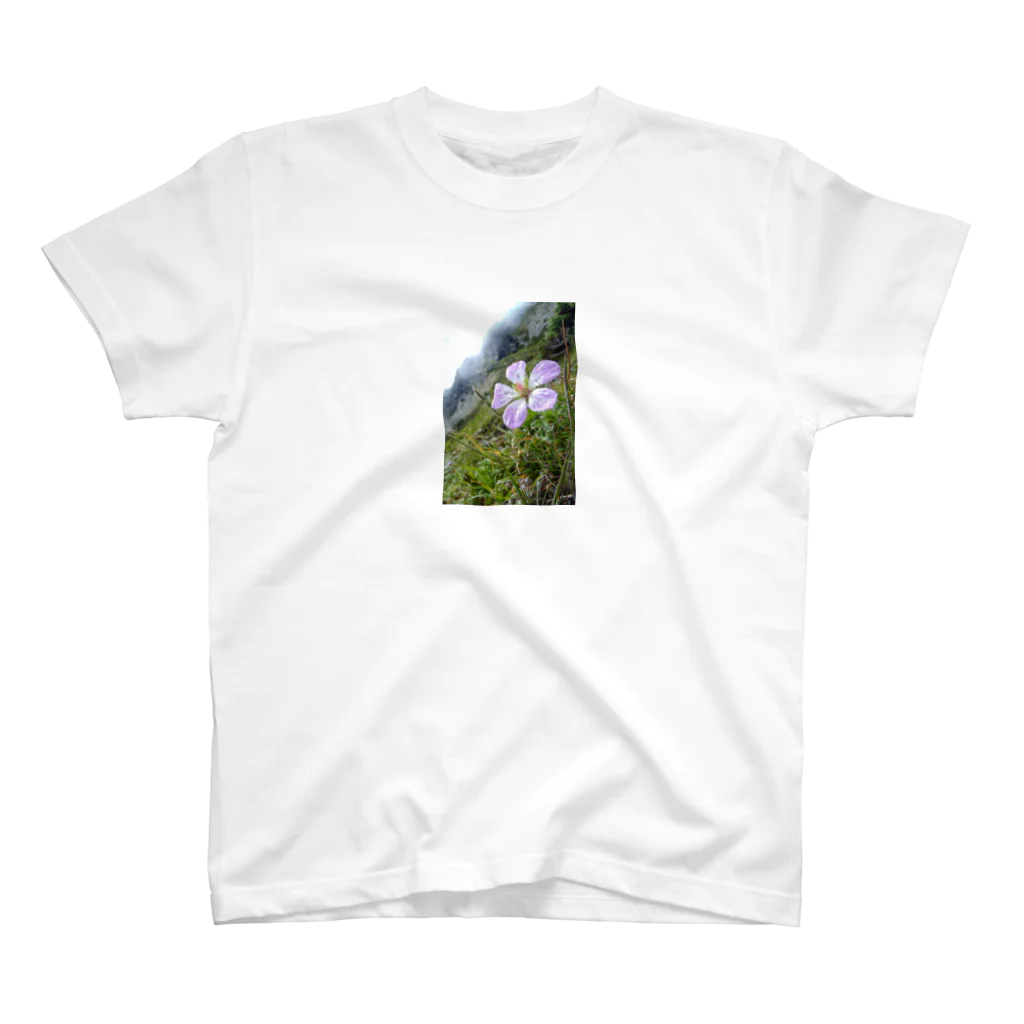 mountain loverの高山植物 スタンダードTシャツ