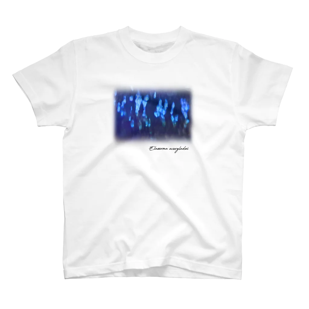 Serendipity -Scenery In One's Mind's Eye-のElassoma evergladei スタンダードTシャツ