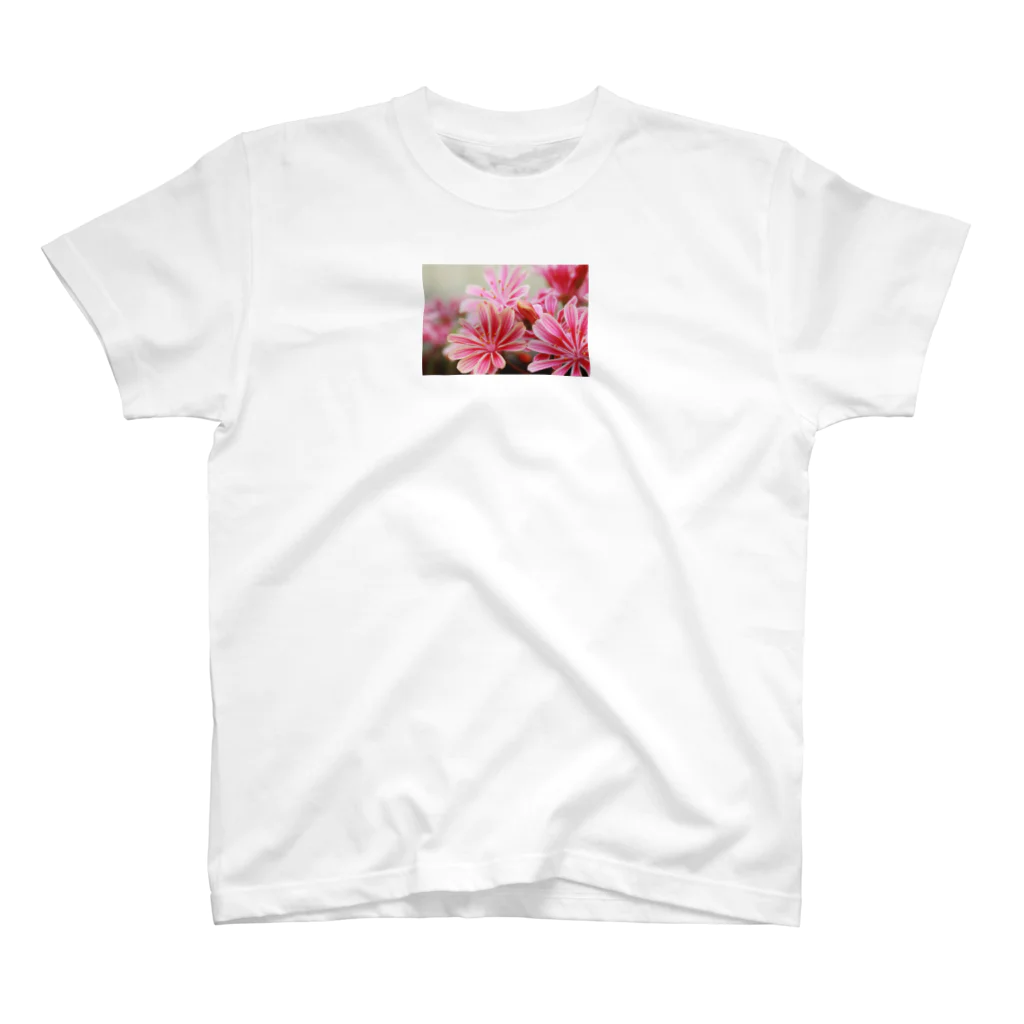 Gardenのレウリシア・コチレドン Regular Fit T-Shirt