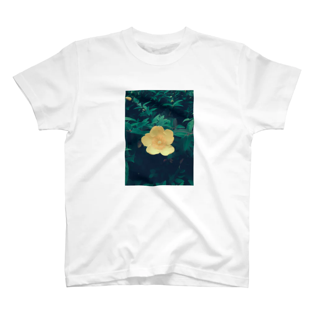 33GaMaのyellow flower スタンダードTシャツ