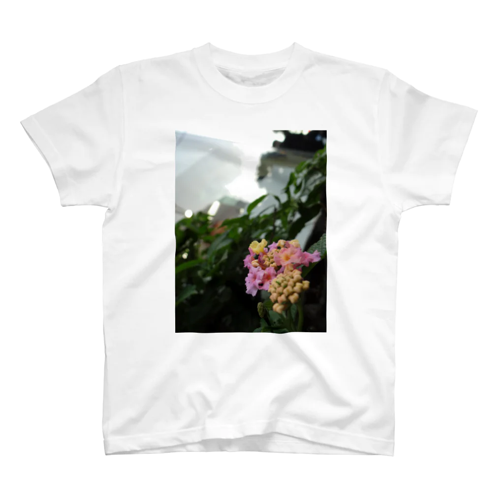 まさしの咲き始めの紫陽花 Regular Fit T-Shirt