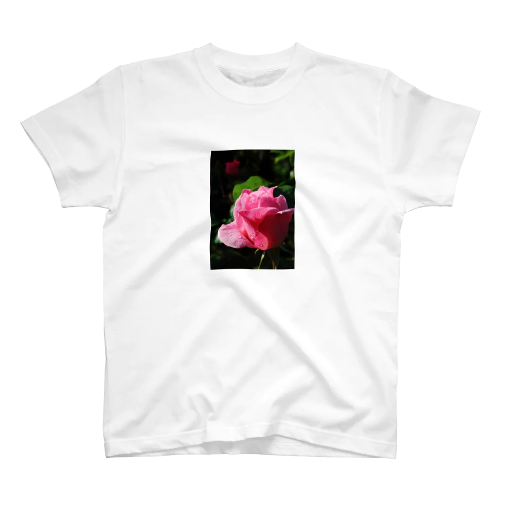 Gardenのピンクの薔薇 スタンダードTシャツ